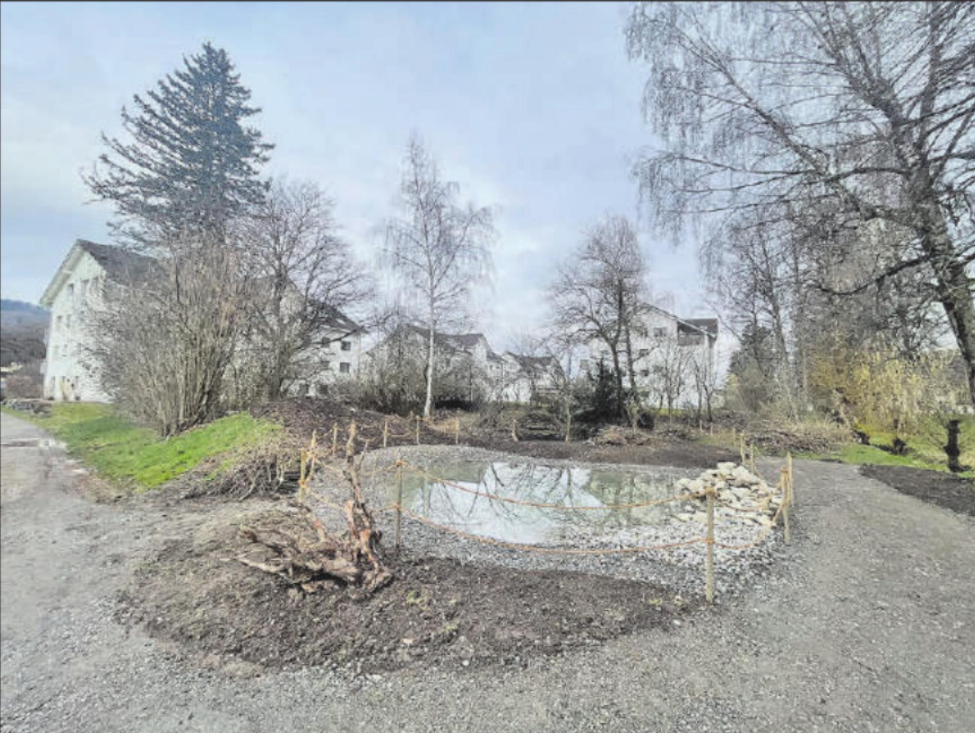 Das neu angelegte Laichgewässer für Amphibien. (Bild: zVg.) - Das Bild wird blockiert. – Möglicherweise durch einen aktiven Adblocker.