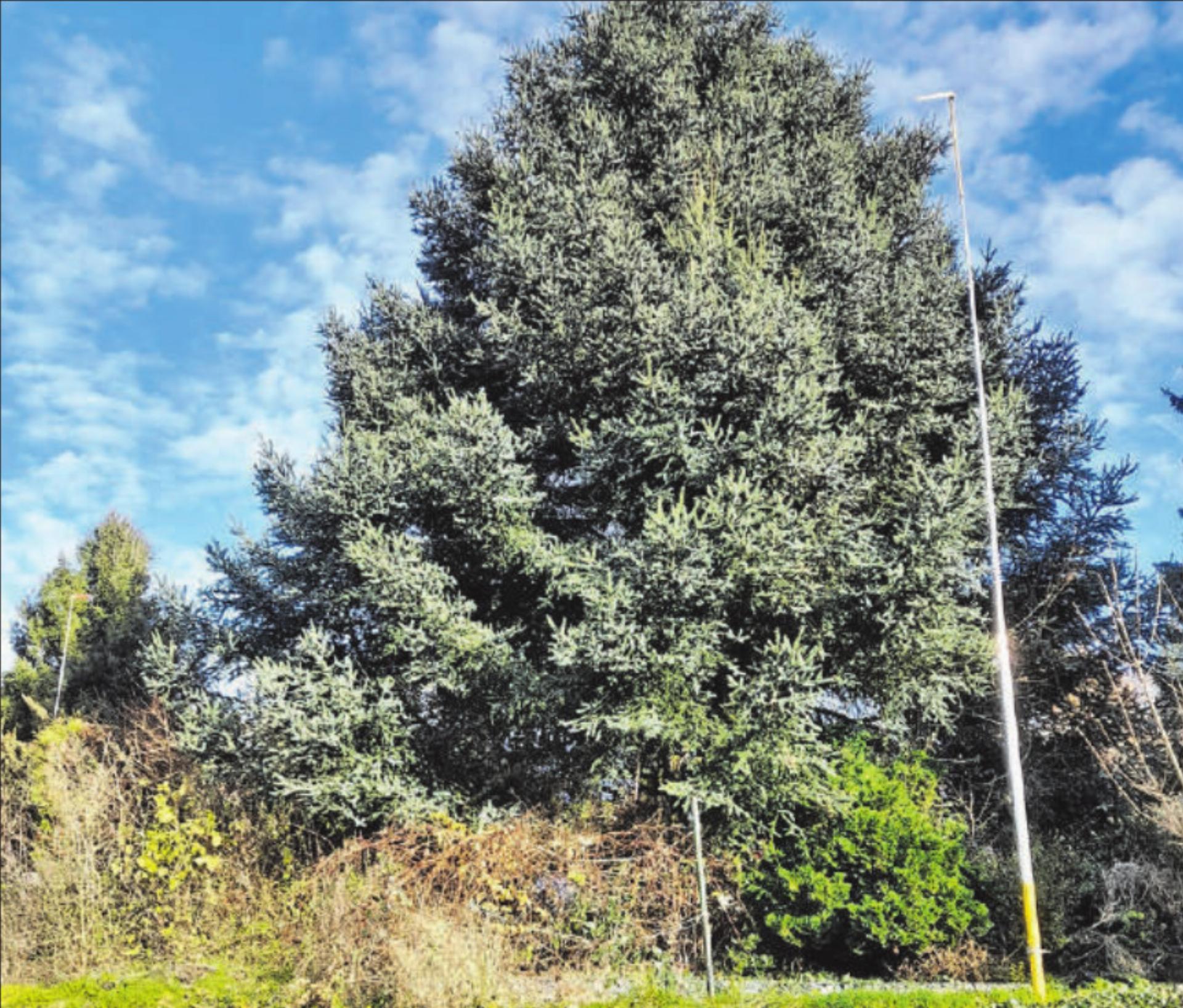  - Das Bild wird blockiert. – Möglicherweise durch einen aktiven Adblocker.