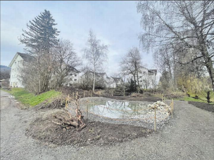 Das neu angelegte Laichgewässer für Amphibien. (Bild: zVg.)