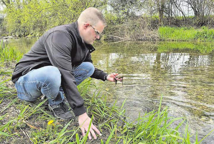 Kleine Anzeichen: Nur wer genau hinsieht, bemerkt die Veränderungen. (Bild: zVg.)