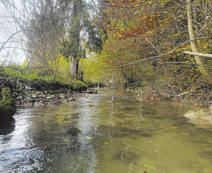 Probennehmer in einem Fliessgewässer im Kanton Luzern. (Bild: zVg.)
