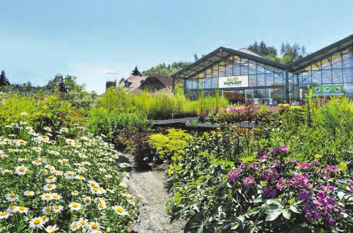 Wenn die Baumschule blüht, ist der Frühling endgültig angekommen – bei Huplant erlebt man ihn hautnah.