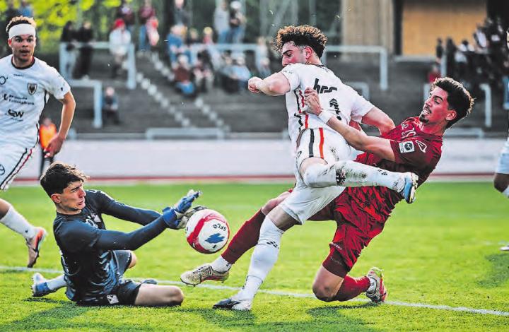 Die Lage erfordert verbissenen Einsatz: Shkelqim Vladi im Krampf gegen Bellinzonas Verteidigung. (Bild: Sarah Rölli)