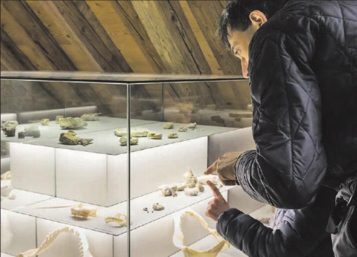 Es gibt vieles zu bestaunen: Das Sandsteinmuseum öffnet seine Türen. (Bild: zVg.)