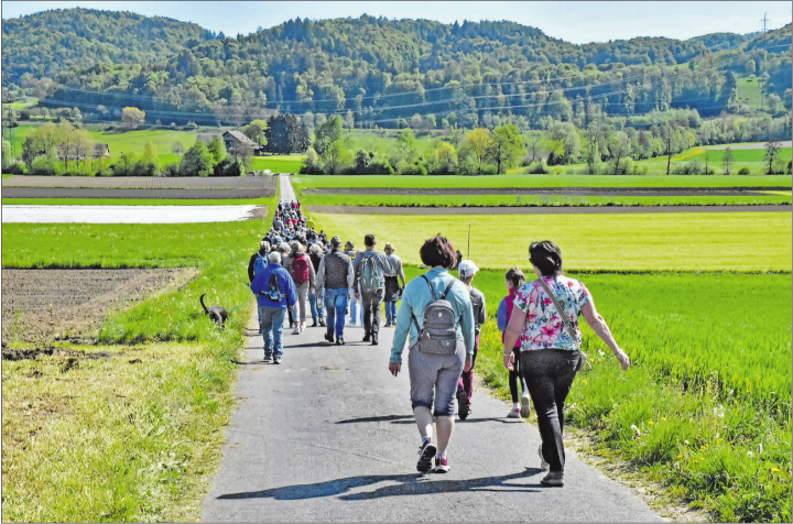 Wanderweg über Felder und Wiesen: Ausgangspunkt und Ziel war die Sagerei Koller. (Bilder: Alfred Weigel)