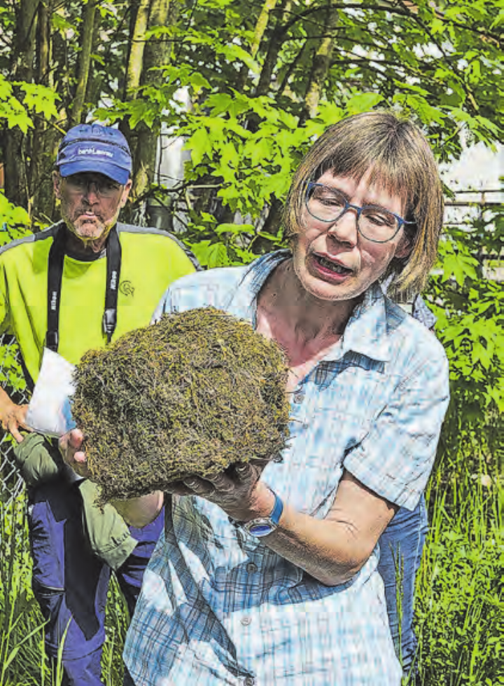 Monika Schoch zeigt das Nest einer Wasseramsel.