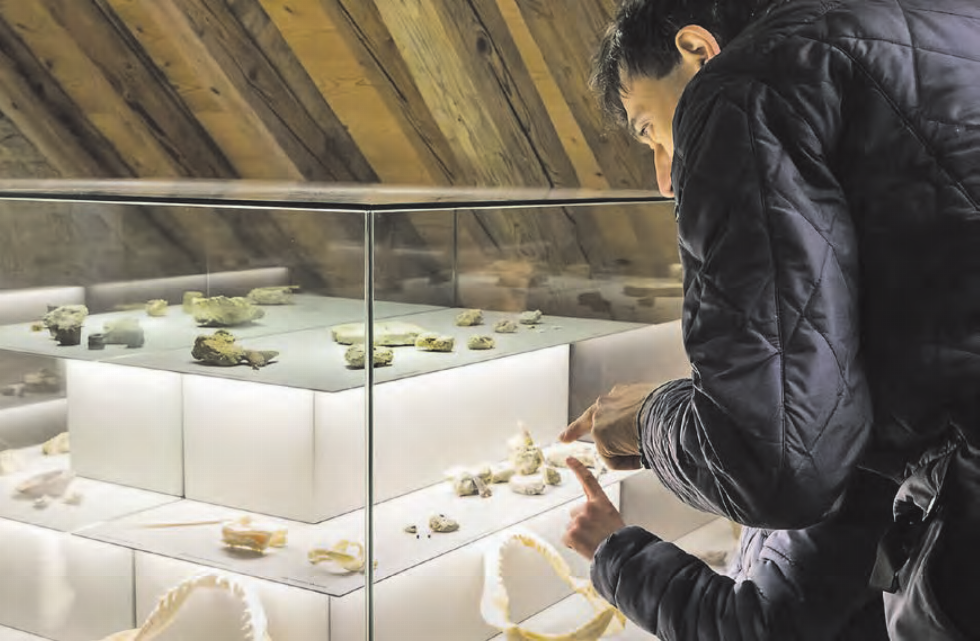 Beispielsweise gibt es im Sandsteinmuseum Staffelbach spannende Fossilien zu entdecken. (Bild: zVg./Damien Bern) - Das Bild wird blockiert. – Möglicherweise durch einen aktiven Adblocker.
