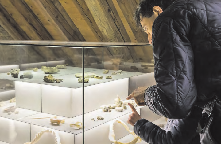 Beispielsweise gibt es im Sandsteinmuseum Staffelbach spannende Fossilien zu entdecken. (Bild: zVg./Damien Bern)