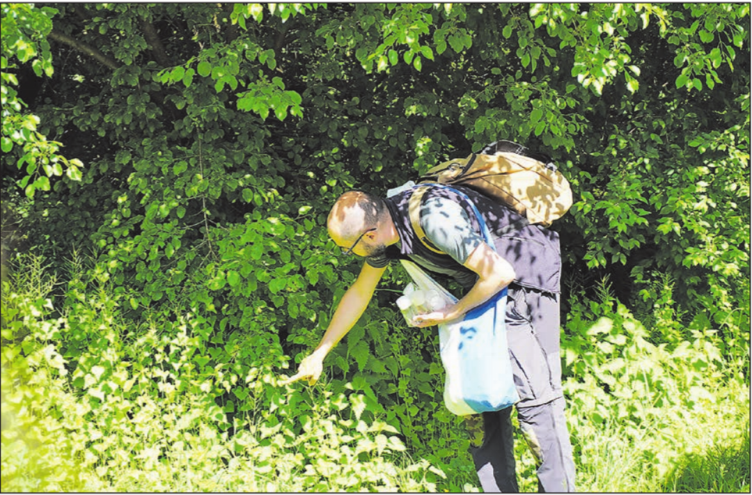Bähram Alagheband fand viele Insekten und zeigte sogleich, wo sie sich gerne aufhalten. Bähram Alagheband fand viele Insekten und zeigte sogleich, wo sie sich gerne aufhalten.