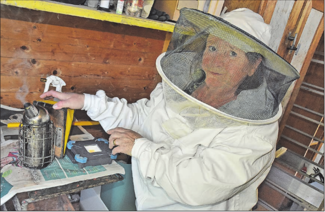 Der Smoker ist ein wichtigstes Werkzeug: Der Rauch lässt die Mägen der Bienen mit Futter füllen. (Bilder: Alfred Weigel) Der Smoker ist ein wichtigstes Werkzeug: Der Rauch lässt die Mägen der Bienen mit Futter füllen. (Bilder: Alfred Weigel)