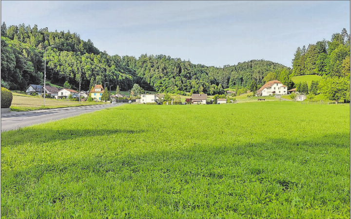 Unterhalb des Ostwegs (Bildmitte) soll der Surtelbach bald wieder durch diese Wiese an der Oberfläche sein Bachbett bekommen. (Bild: Roland Marti) Unterhalb des Ostwegs (Bildmitte) soll der Surtelbach bald wieder durch diese Wiese an der Oberfläche sein Bachbett bekommen. (Bild: Roland Marti)