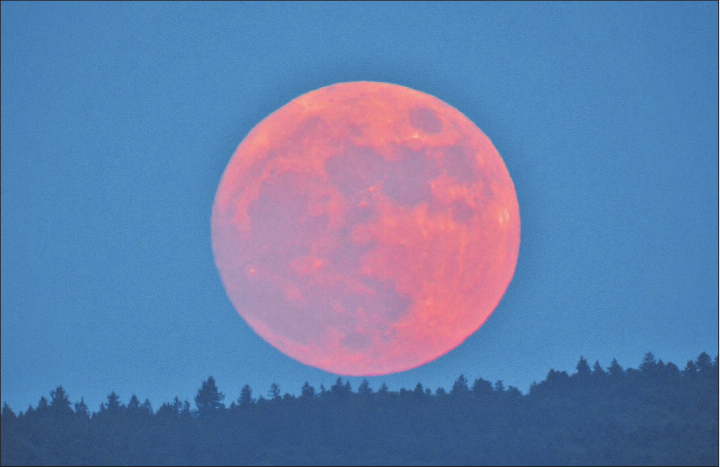 Hallwil: Blue Moon