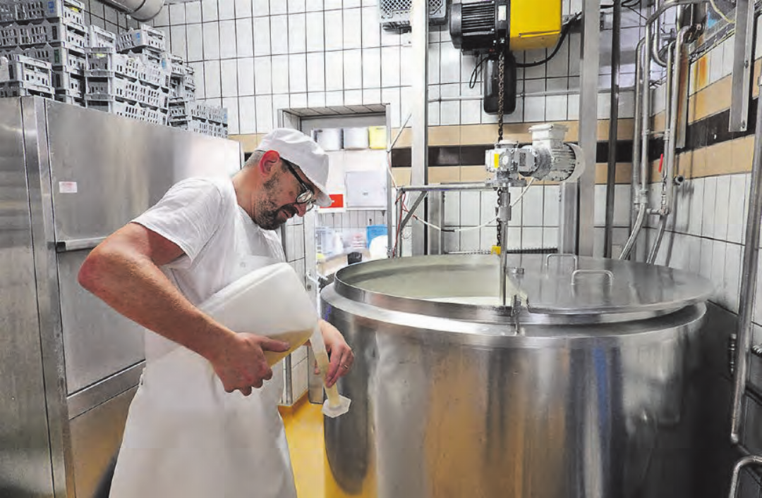 Käsermeister Franz Scheuber fügt eigens gepflegte Kulturen der Schafmilch bei. Käsermeister Franz Scheuber fügt eigens gepflegte Kulturen der Schafmilch bei.