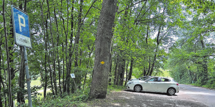 Der Parkplatz Stierenberg wird nicht nur von Ausflüglern, sondern regelmässig von Langzeitparkenden benutzt. Letzteres will die Gemeinde unterbinden. (Bild: Remo Conoci)