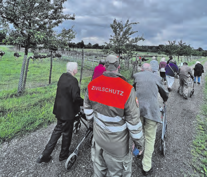 Halfen, wo sie konnten: Betreuer der ZSO aargauSüd organisierten und begleiteten Ausflüge, unter anderem zur Straussenfarm am Sempachersee.