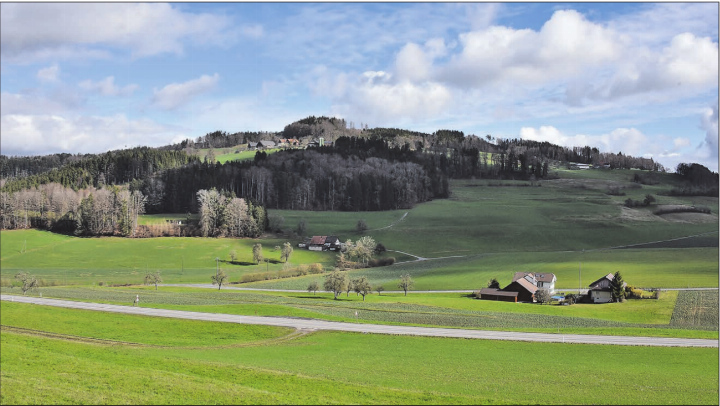 Naherholungsgebiet für die Region: Der Stierenberg ist ein beliebtes Ausflugsziel. (Bild: Martin Sommerhalder)