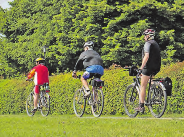 Auf dem Fahrrad die Natur geniessen. (Bild: pixabay)