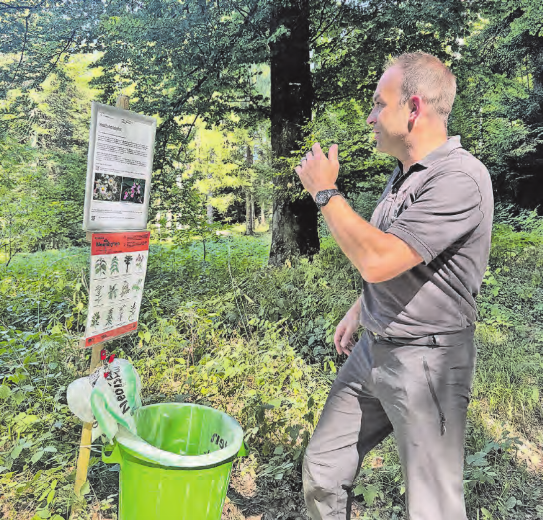 Dank Zusammenarbeit mit den Naturschutzvereinen: Christian Siegrists Gebietseinteilung bei der Bekämpfung der Neophyten zeigt Erfolge. Dank Zusammenarbeit mit den Naturschutzvereinen: Christian Siegrists Gebietseinteilung bei der Bekämpfung der Neophyten zeigt Erfolge.