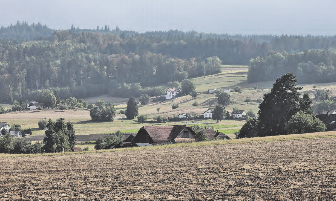 Wo man hinschaut: Die Felder in der Region kommen in einem beigen Farbton daher. (Bilder: Dominique Rubin) Wo man hinschaut: Die Felder in der Region kommen in einem beigen Farbton daher. (Bilder: Dominique Rubin)