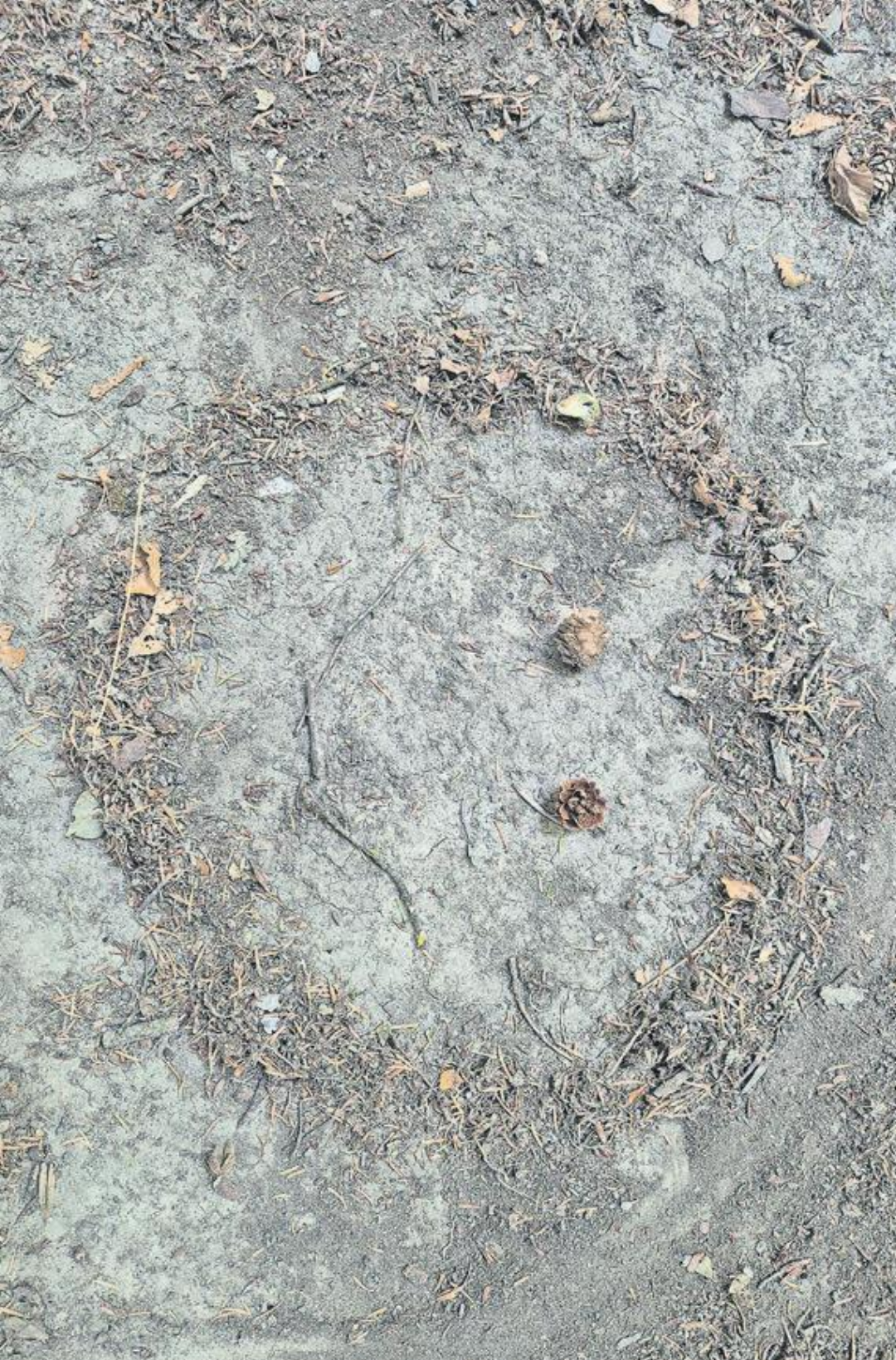 Um ein Kunstwerk zu kreieren war ich zu erschöpft, aber ein lachendes Smiley funktioniert immer. (Bilder: Janine Flückiger) Um ein Kunstwerk zu kreieren war ich zu erschöpft, aber ein lachendes Smiley funktioniert immer. (Bilder: Janine Flückiger)