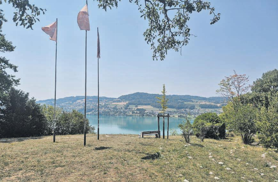 Nach der Aufwärtsfahrt zu Posten drei, beim Rügel in Seengen, wird man mit einem herrlichen Blick über den Hallwilersee belohnt. Nach der Aufwärtsfahrt zu Posten drei, beim Rügel in Seengen, wird man mit einem herrlichen Blick über den Hallwilersee belohnt.