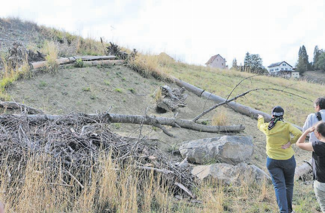 Auch im Wannental und Mösli wurden von Sandlinsen bis Laichgewässern und Heckeninseln wertvolle Habitate für die verschiedenen Tierarten geschaffen. Auch im Wannental und Mösli wurden von Sandlinsen bis Laichgewässern und Heckeninseln wertvolle Habitate für die verschiedenen Tierarten geschaffen.