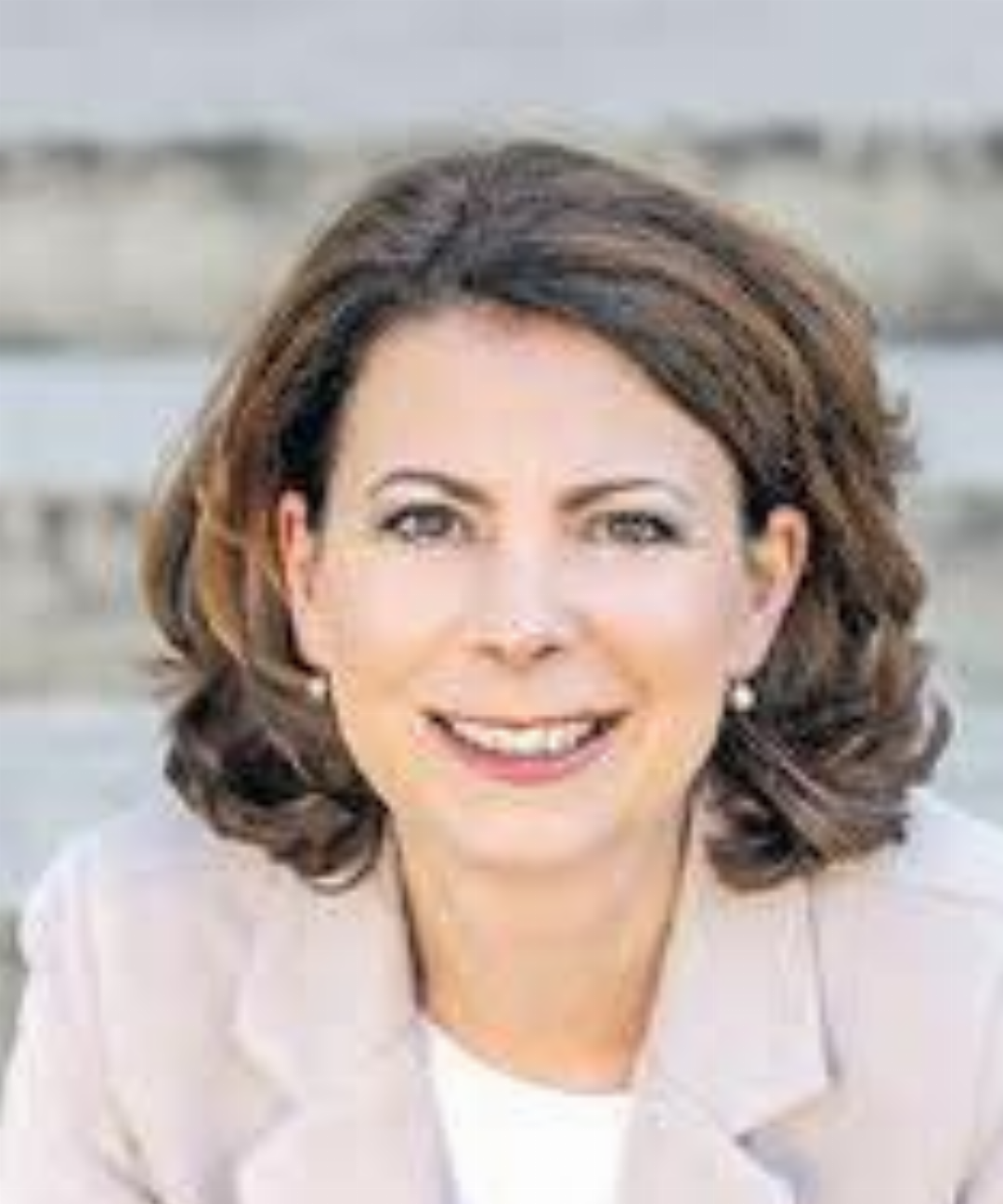 Karin Faes, Präsidentin aargauSüd regio Karin Faes, Präsidentin aargauSüd regio