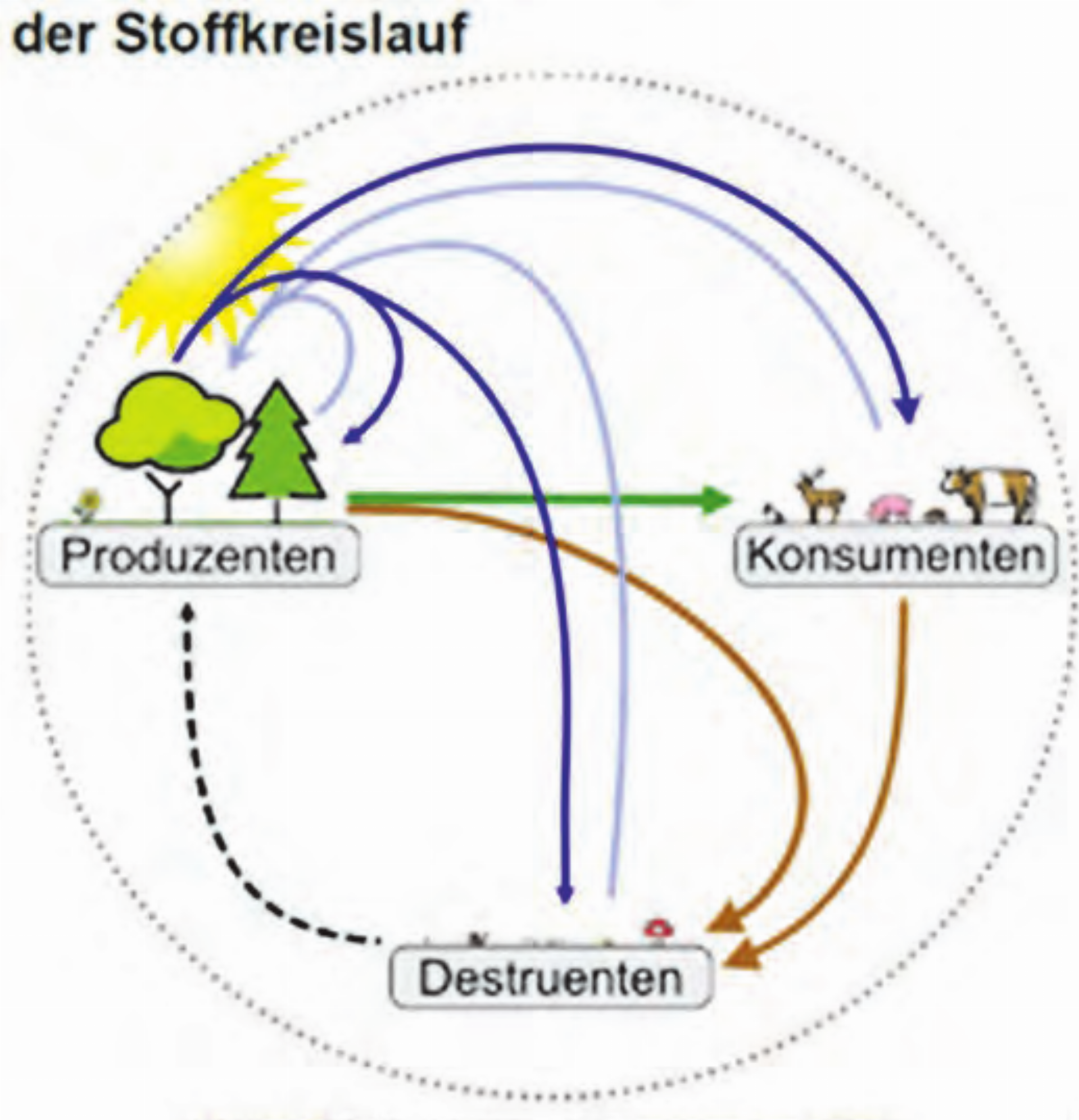 Der Stoffkreislauf (Bild: zVg.) - Das Bild wird blockiert. – Möglicherweise durch einen aktiven Adblocker.