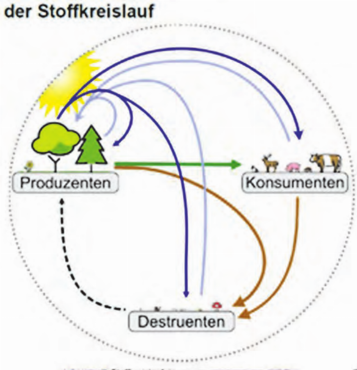 Der Stoffkreislauf (Bild: zVg.) Der Stoffkreislauf (Bild: zVg.)