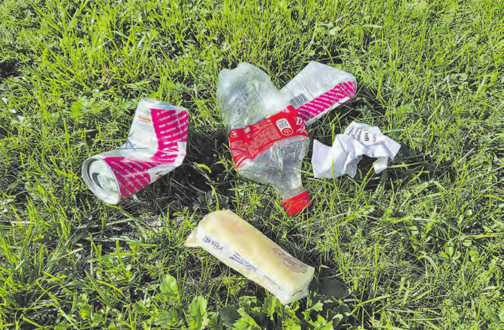Littering ist ein grosses Problem – auch in Menziken. (Bild: Melanie Köchli) - Das Bild wird blockiert. – Möglicherweise durch einen aktiven Adblocker.