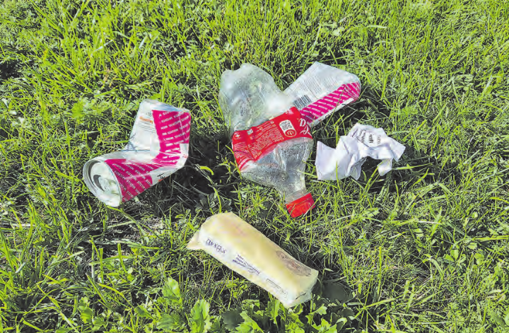 Littering ist ein grosses Problem – auch in Menziken. (Bild: Melanie Köchli)
