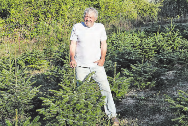 Lorenz Haller (80) blickt auf ein vielseitiges Leben zurück. (Bild: René Fuchs) Lorenz Haller (80) blickt auf ein vielseitiges Leben zurück. (Bild: René Fuchs)