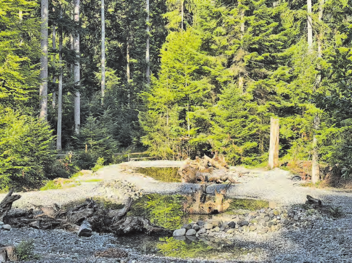 Die neue Weiherlandschaft neben dem Waldhaus Stierenberg in Reinach ist der Lebensraum vieler Tiere. (Bilder: Christian Schweizer, Gemeinderat Menziken)