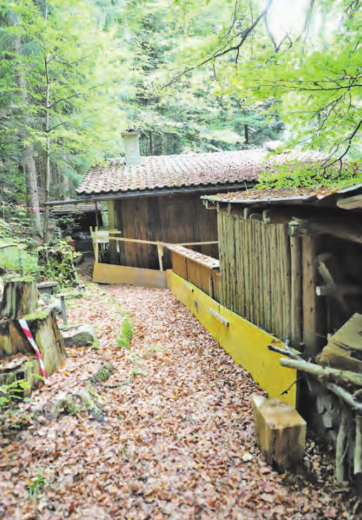 Muss zurückgebaut werden: Um die Waldhütte Nr. 289 zu erreichen, braucht es gute Ortskenntnisse. (Bild: Remo Conoci)