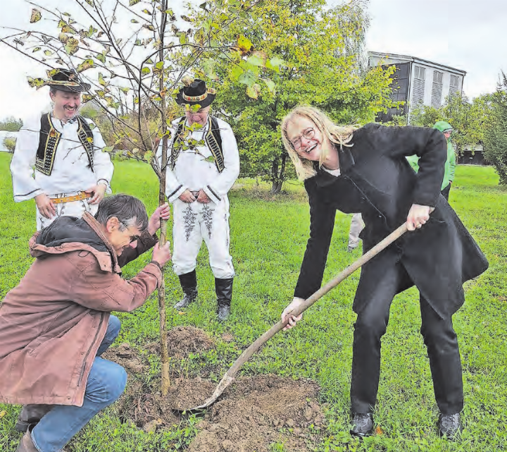 Der tschechische Nationalbaum: Eine junge Linde mit ihrer «Mentorin» Blanka Kraus. (Bild: Carmen Suter)
